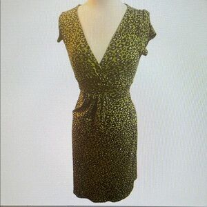 Leopard Print V-Neck Dress
